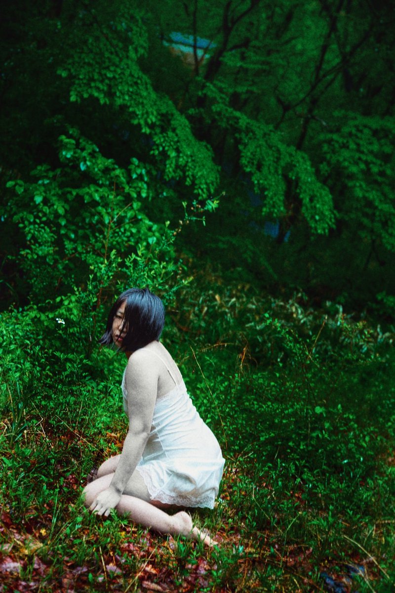 ーーD (@dashibari) on Twitter photo 