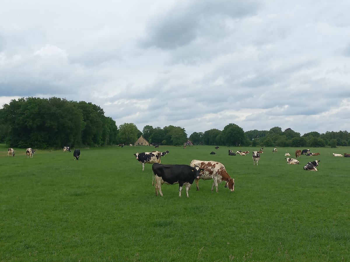 Goedemorgen, iedereen een hele mooie zaterdag gewenst. Geniet van al het goede van deze dag.