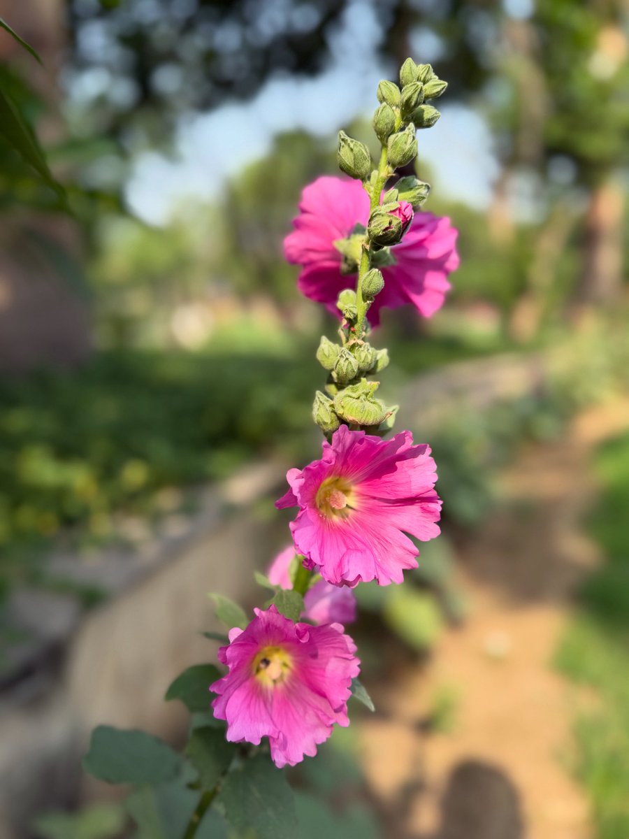 #Natureclicks