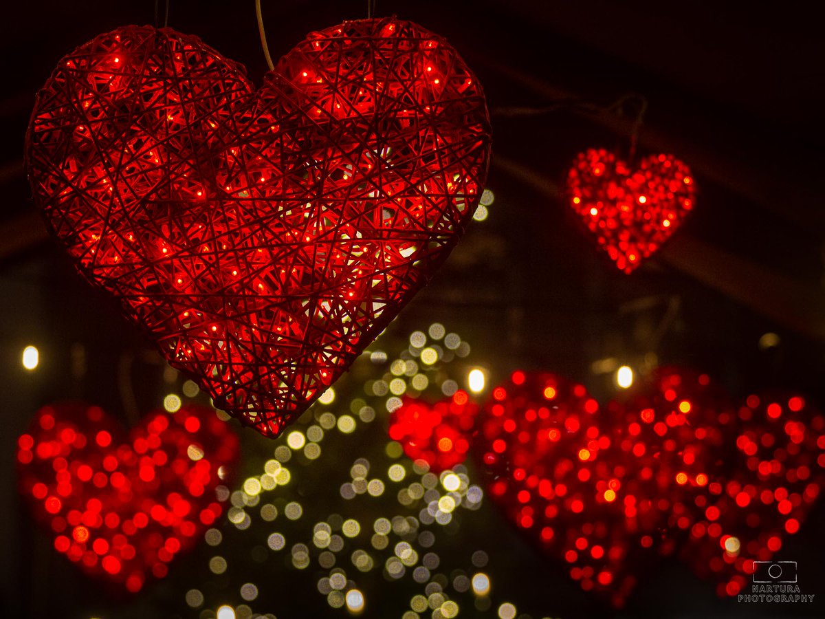 E_van_den_Ham's tweet image. Op #dag7 zetten we #rood in het zonnetje.
 #junieke_fotografie door @bkfotobetsy