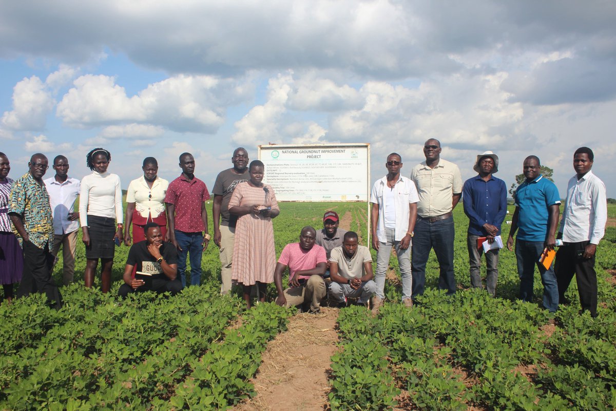 NARO Groundnut - Uganda (@gnuts_nasarri) on Twitter photo Researchers from Midlands State University, Zimbabwe <a href="/MidlandsState/">Midlands State University</a> visited NaSARRI <a href="/NNasarri/">NARO-NaSARRI</a> to explore opportunities for research, capacity building and Partnership. Researchers from Midlands State University, Zimbabwe <a href="/MidlandsState/">Midlands State University</a> visited NaSARRI <a href="/NNasarri/">NARO-NaSARRI</a> to explore opportunities for research, capacity building and Partnership.