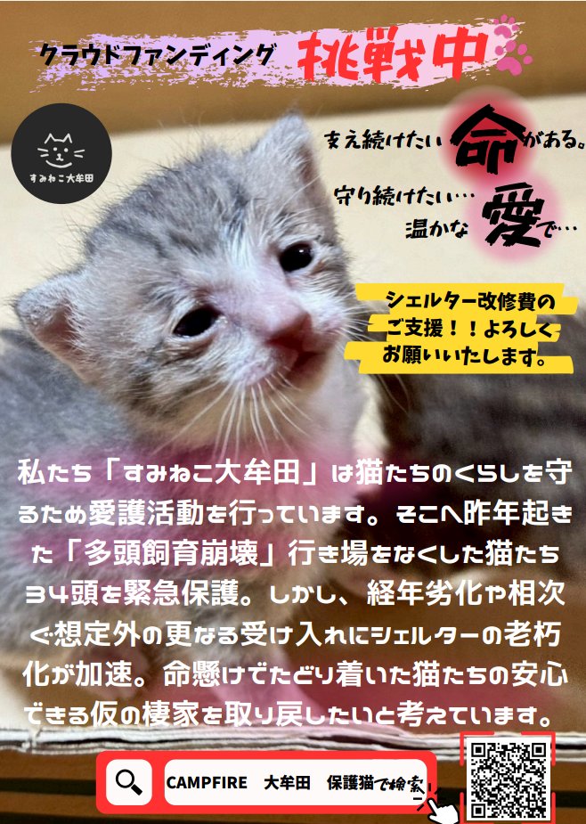 AkikoYou2005's tweet photo. ねこ部屋の改修工事します！
このままでは崩壊して猫たちの居場所がなくなります💦
どうか一緒に小さな命を救って下さい😺

https://t.co/09Oc4BeK6Z https://t.co/nxEJL7mcIR