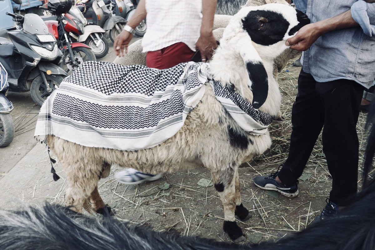 Eidgah, Kashmir 🕊️