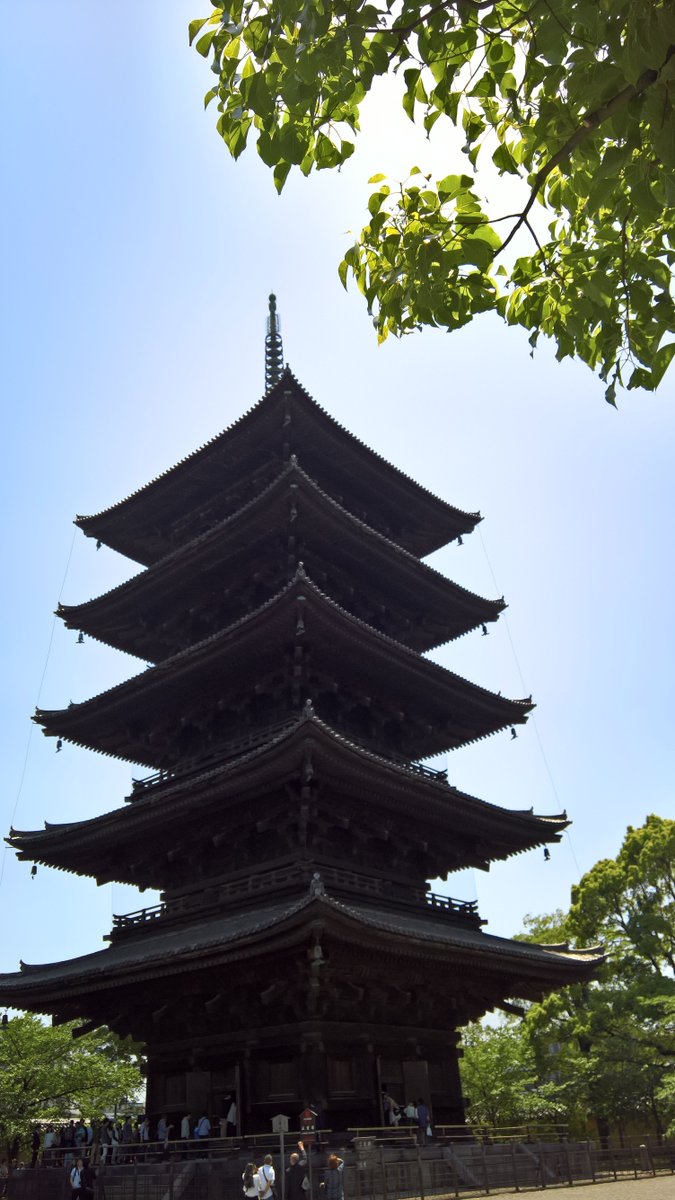 See It, Like it, Snap It.