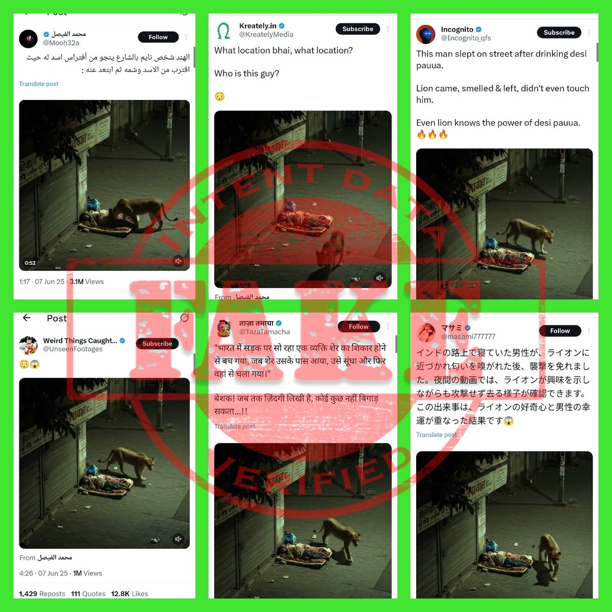 3449
ANALYSIS: Fake

FACT: An AI-generated video showing a lion approaching a person sleeping on the street in front of closed shops at night and then walking away after merely sniffing has been shared with claims that it captures a real incident in India. (1/4)