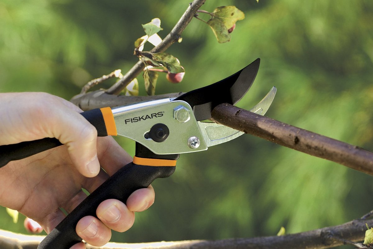CHANGE OF DATE Pruning Workshop - Sun 8th June - mailchi.mp/4857fa0af654/0…