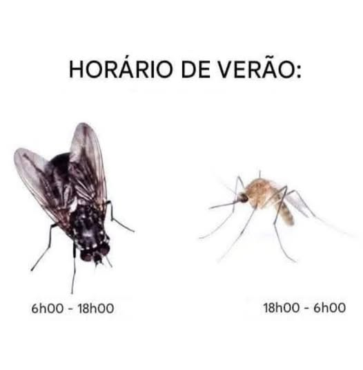 manu1503 (@manu1503) on Twitter photo 