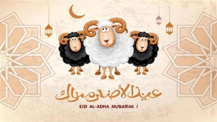 كل عام وانتم بألف خير وصحة 
وسلامة يارب 💫🎇🤝🐑💯عيدكم مبارك 💯