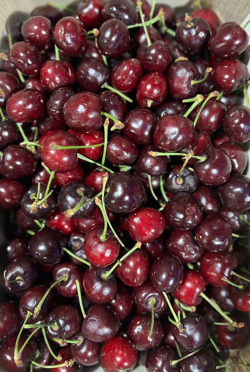 These sweet, juicy local gems are here! Perfect for:

Classic desserts (Clafoutis, tarts)
Savoury pairings (duck, pork)
Vibrant sauces &amp; infusions

#DorsetChefs #SeasonalMenu #LocalSourcing #DorsetFood #CherrySeason