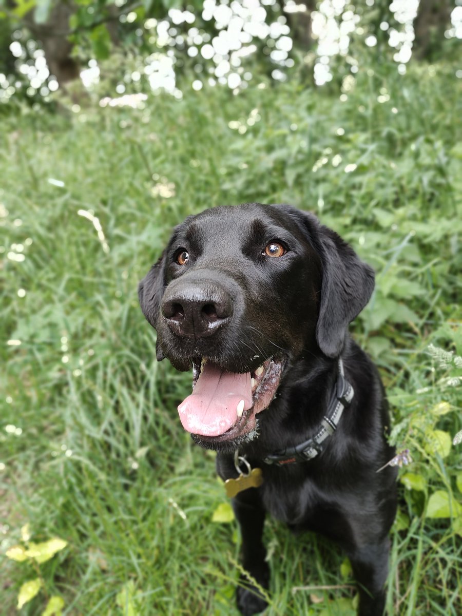 Jesmond Dene parkrun tweet media