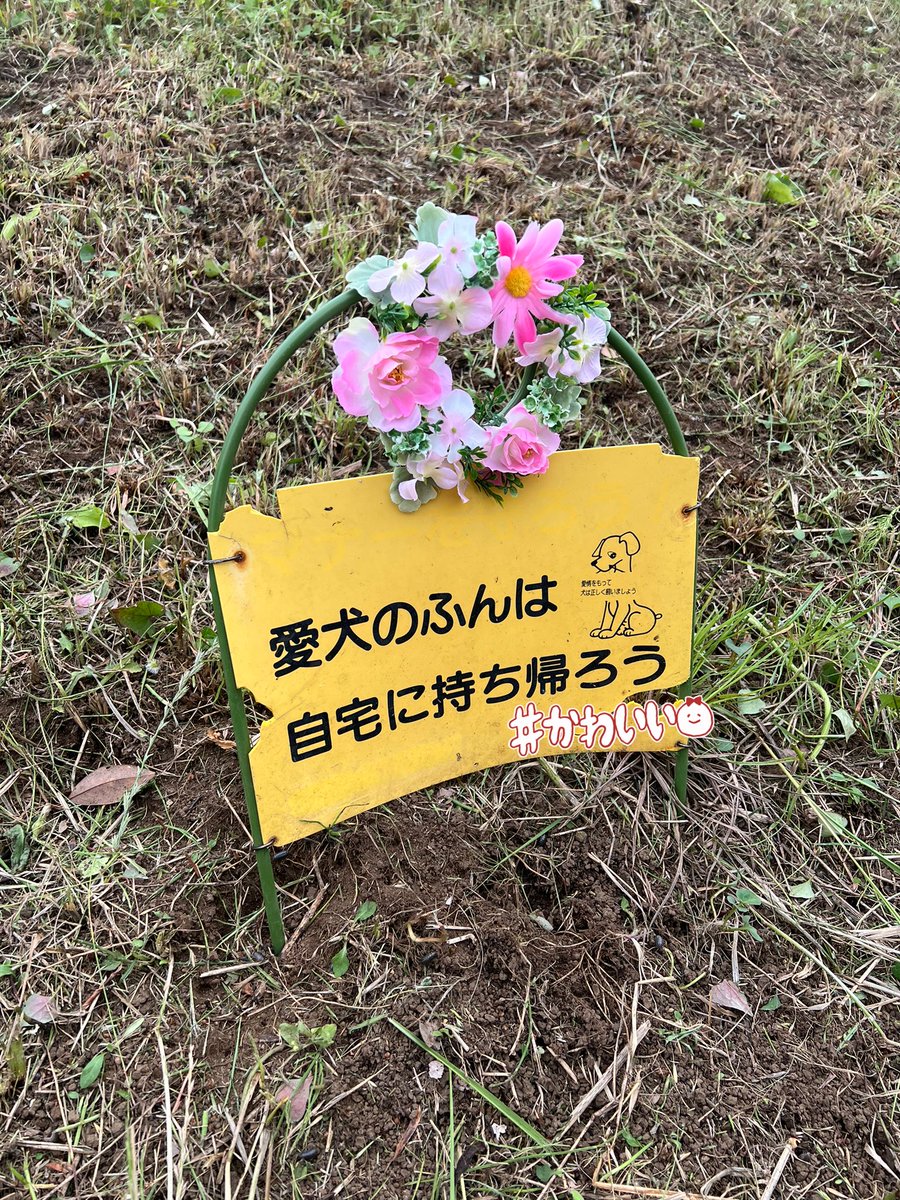 ちょっと可愛くしたら
綺麗なままでいられるかなぁ🤔

てか、💩よりも
ポイ捨てが多いのです🗑️😩💨

#ポイ捨て