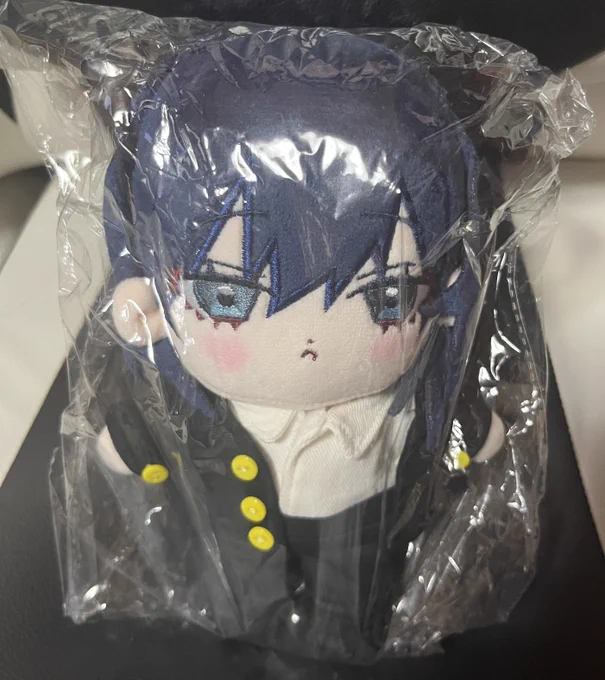 つ、ついに! 横山いしみさんぬいぐるみが届きましたー!! クールな顔可愛いです!