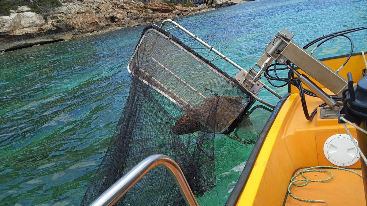 🌊 El servei de neteja del litoral, coordinat per PortsIB, ha recollit 7,8 tones de residus a les costes de les Balears durant el maig. 23 embarcacions han operat de manera ininterrompuda a totes les illes. La campanya continua fins al 30 de setembre

ℹ️ tn.caib.es/netejaMaig25
