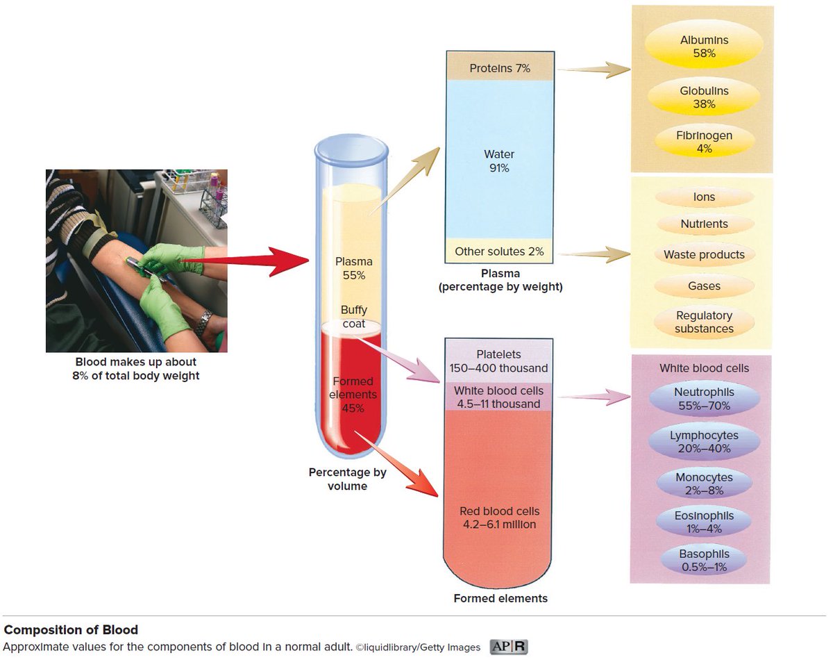Composition of Blood

#medtwitter #foamed #usmle