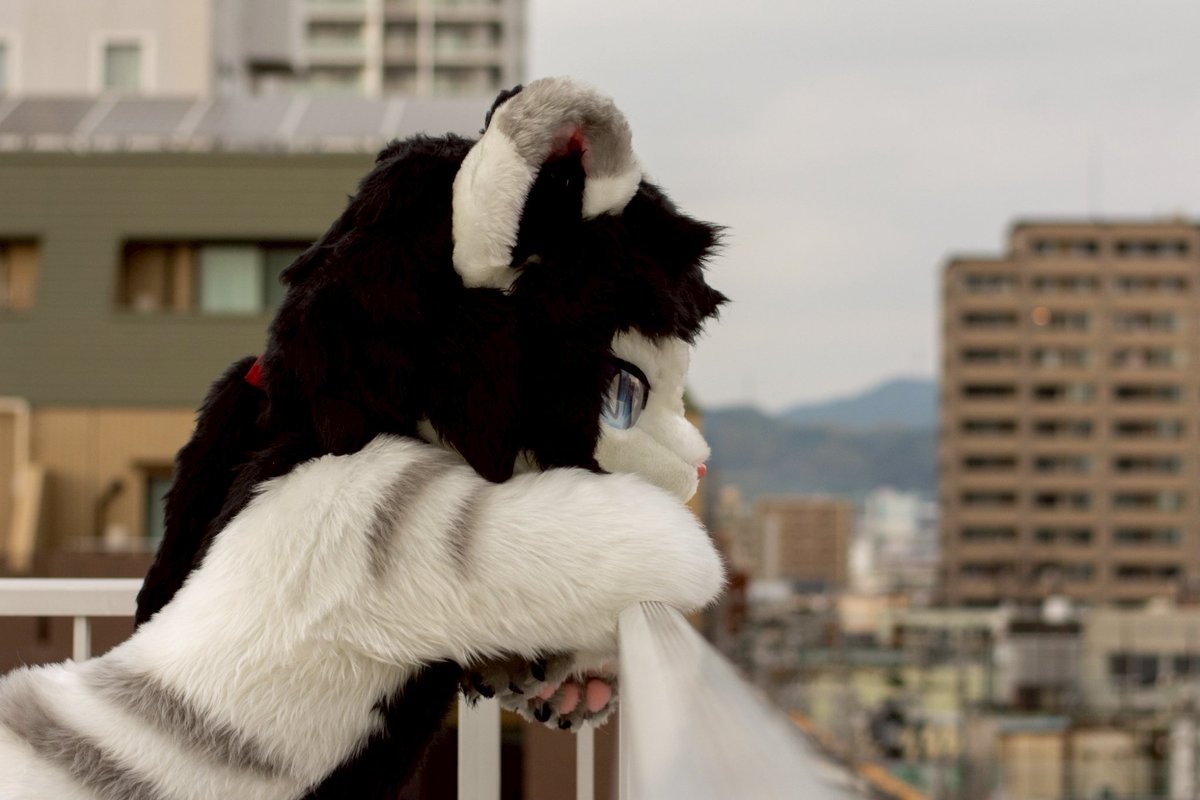 みっちゃ🍵 (@tutinoko_noko77) on Twitter photo 