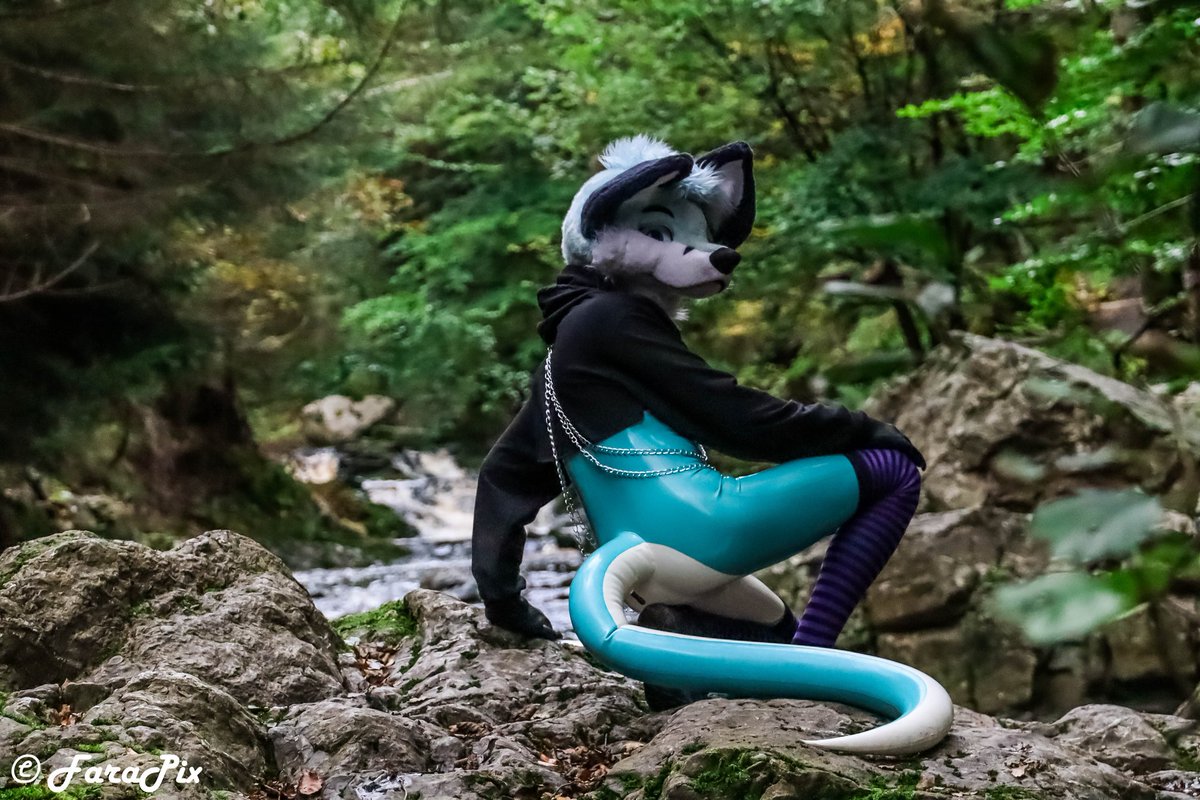 Forest pics ~

📸 <a href="/sonypup/">Sony</a>