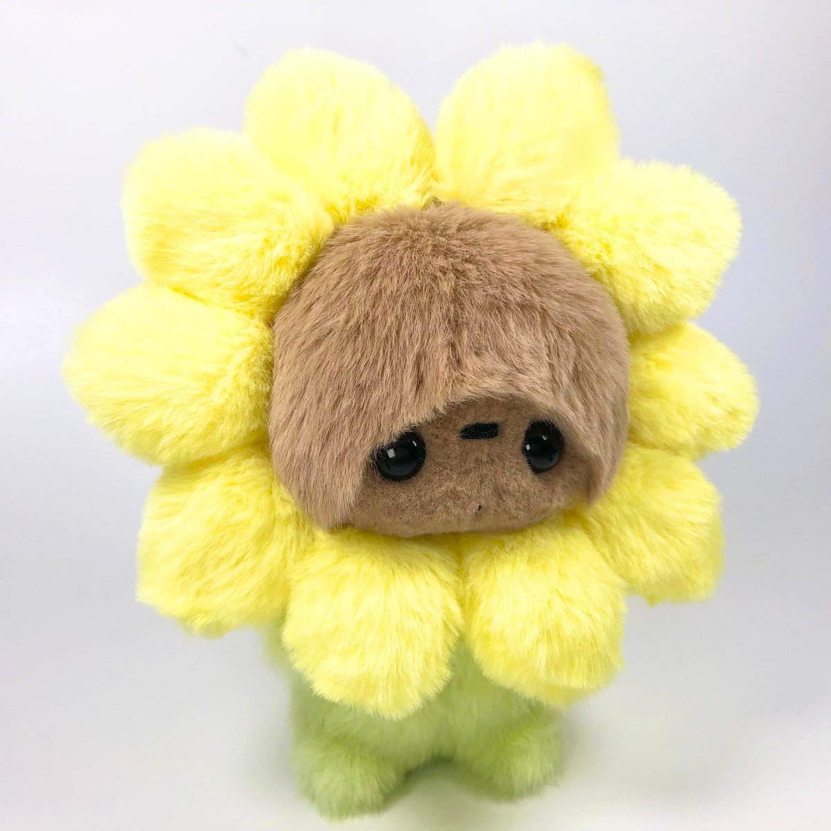 ※送料無料※ひまわりちゃん

minne.com/items/43186545

ハンドメイドの向日葵のぬいぐるみです💕