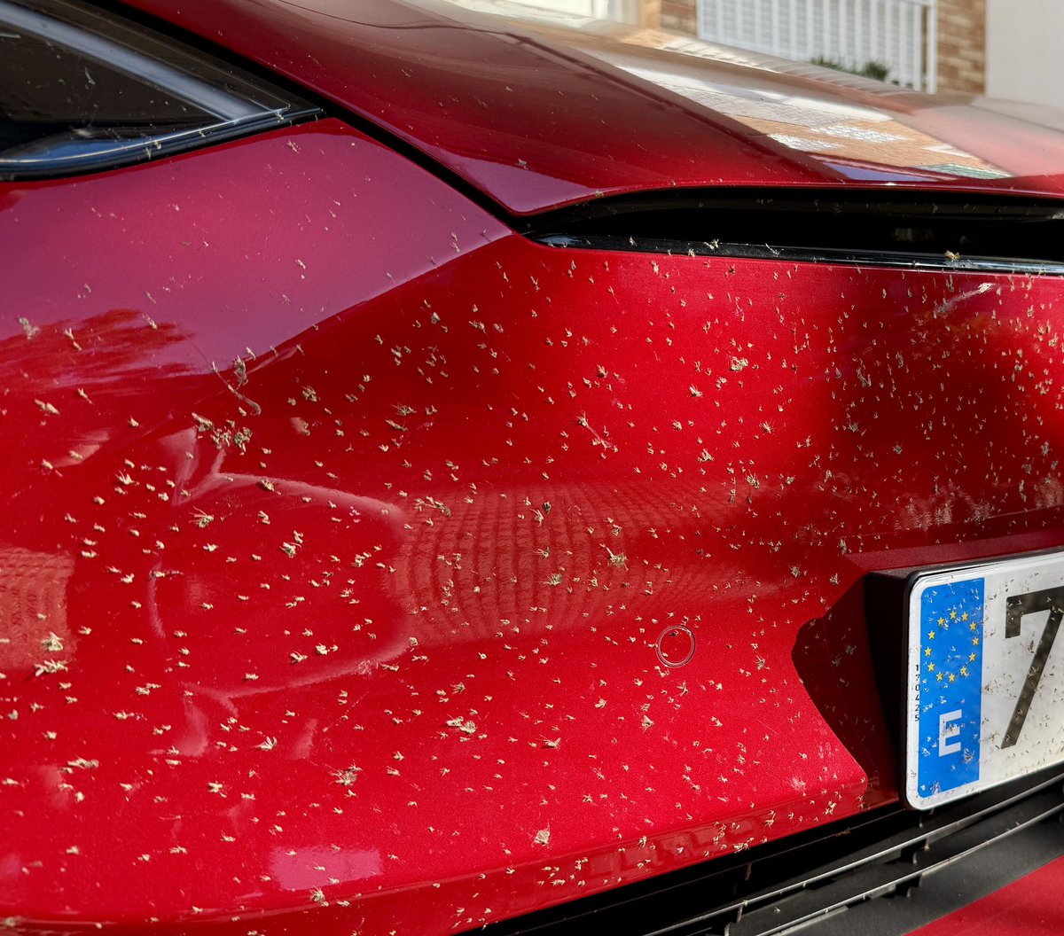 Aland≡Bru tweet media