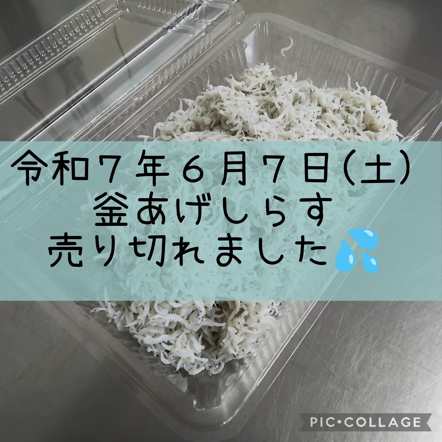 ☆バンビさま専用です☆ Amazon.co.jp: BAMBI B-X時計バンド 合成繊維 アーミーグリーン