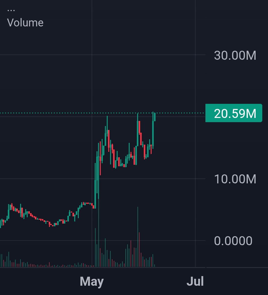 Zer0 🕊️ tweet media