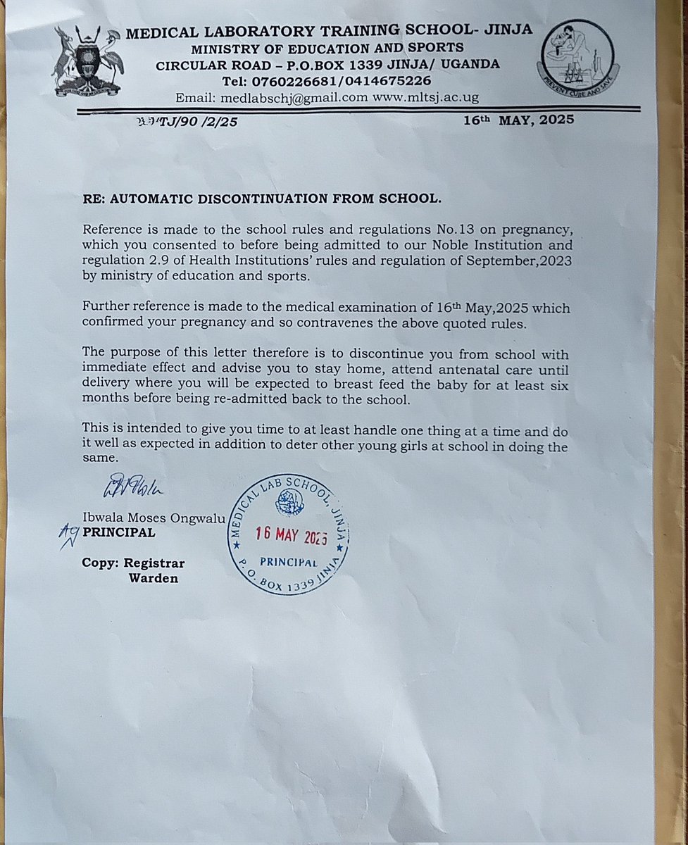 ALTON 🩺 tweet media