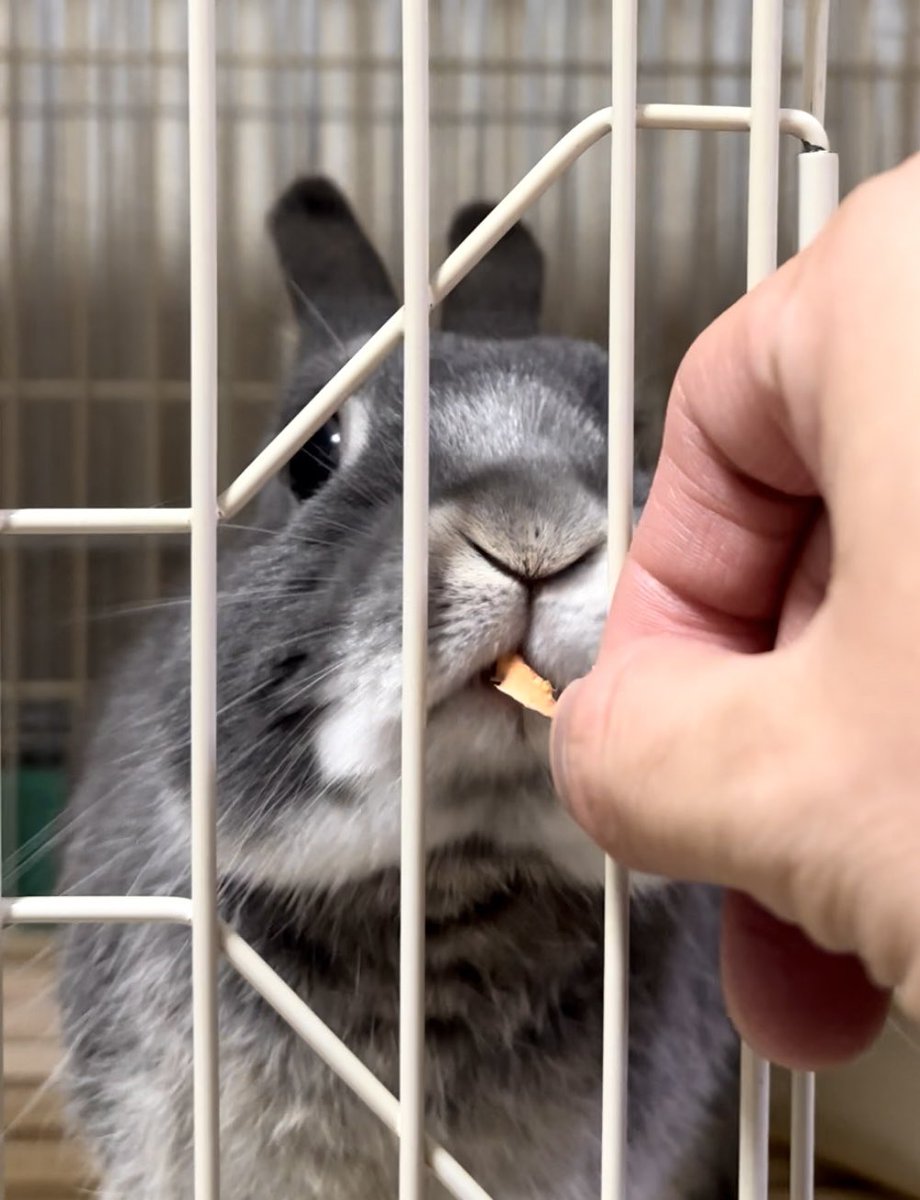 🥕