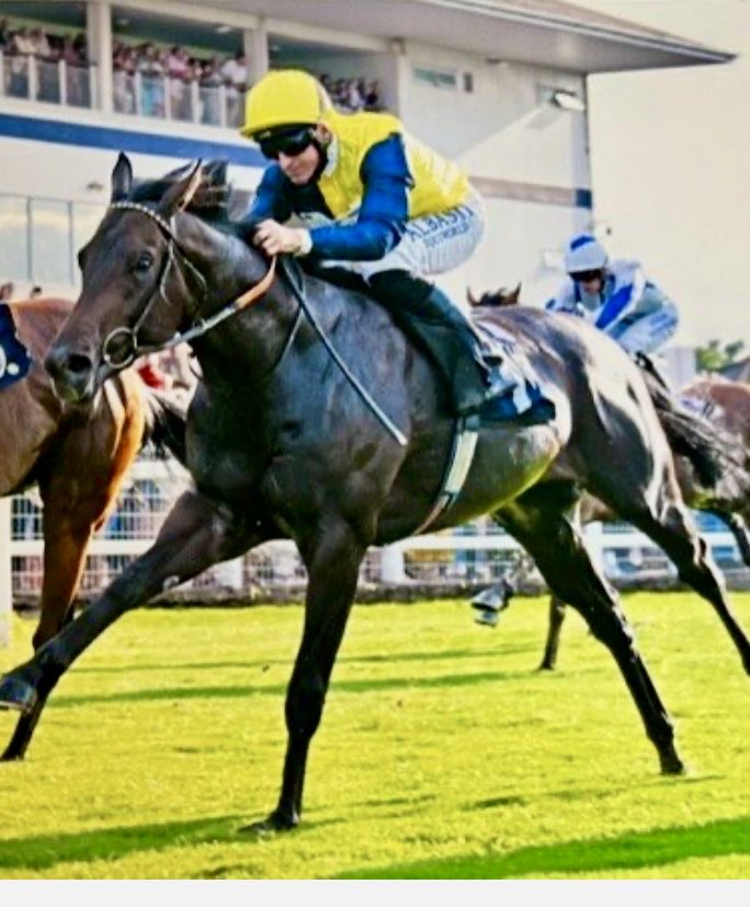 Johnny McKeever (@johnnymckeever1) on Twitter photo Big congrats to Julie and David Martin who’s star gelding TREFOR achieved a 4th lifetime salute <a href="/DoncasterRaces/">Doncaster Racecourse</a> races for in form trainer <a href="/cbhills/">Charlie Hills</a> & top jock <a href="/loughnane_billy/">Billy Loughnane</a>
100kgns purchase <a href="/Tattersalls1766/">Tattersalls</a> x <a href="/YeomanstownStud/">Yeomanstown Stud</a>
Well done🥂 Big congrats to Julie and David Martin who’s star gelding TREFOR achieved a 4th lifetime salute <a href="/DoncasterRaces/">Doncaster Racecourse</a> races for in form trainer <a href="/cbhills/">Charlie Hills</a> & top jock <a href="/loughnane_billy/">Billy Loughnane</a>
100kgns purchase <a href="/Tattersalls1766/">Tattersalls</a> x <a href="/YeomanstownStud/">Yeomanstown Stud</a>
Well done🥂