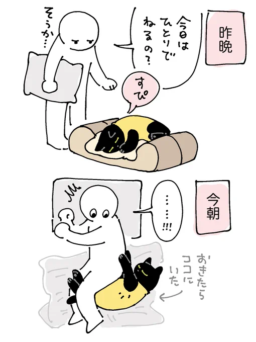 4/6 膝裏を愛す 