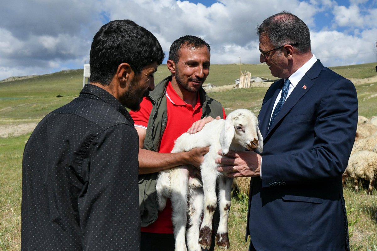 tcvanvaliligi's tweet photo. Başarıyla Devam Eden Koyunculuk Projesi Çiftçileri Mutlu Ediyor 

Valimiz Sn. Ozan Balcı tarafından ilimizde başlatılan "Köyümde Yaşamak İçin Bir 'Sürü' Nedenim Var" projesi kapsamında yürütülen koyunculuk projesi başarıyla devam ediyor. Çiftçiler, proje sayesinde sürülerini 4 katına kadar çıkarırken, 3 yıl içerisinde  2 bin 375 çiftçiye 235 bin koyun desteği verildi.

Projeden faydalanan çiftçilerden genç çiftçi Medeni Çaksu’yu çiftliğinde ziyaret eden Valimiz, projenin amacının çiftçilerin köyden şehre göçünü önlemek ve küçükbaş hayvancılığı geliştirmek olduğunu söyledi. 

Çiftçi Çaksu’yu tebrik eden Valimiz;

✅Projeye başvuran çiftçilerimize sıfır faizli, bir yıl ödemesiz ve 5 yıl vadeli kredi desteği sunuyoruz. 

✅Şu ana kadar 2 bin 375 çiftçiye 235 bin koyun verdik. Projeyle koyun yetiştiriciliği yapan besicilerin sürülerini 100 baş ve üzerine çıkarmalarını sağlamaya çalışıyoruz. 
✅Entegre bir şekilde yürütülen proje kapsamında meraları ıslah edip, göletler yapıyoruz. Veterinerlik hizmetleri sunuyoruz. Çiftçilerimize bu kapsamda kaba yem desteği olarak 175 milyon liralık sertifikalı tohum dağıttık. 
✅Dişi kuzu kesimini engelliyor, erkek kuzu kesimini garanti altına alıyoruz. Gayemiz çiftçilerimizin gelir kaynağını artırmak, zenginleşmelerine ve refahlarına destek olmak. 
✅Van daha önce 7-8 milyon küçükbaş hayvan varlığına sahipmiş. Şu an 3,5 milyon. Hedefimiz tekrar eski sayıyı yakalamak" dedi.
✅Projeden yararlanan Medeni Çaksu ise yaşadığı ekonomik sıkıntılar nedeniyle il dışına gidip inşaatlarda çalıştığını söyledi. Proje sayesinde memleketine dönüp kendi işnin patronu olduğunu, çok iyi verim elde ettiğini belirterek mutluluğunu dile getirdi.

@valiozanbalci75