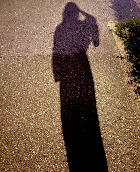 ウォーキングの時の影があまりにアルテミシアさんで大変好きでしかない 私なんだけども笑