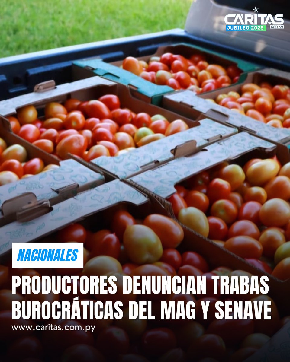 #Nacionales🗞️|  Productores denuncian trabas burocráticas del MAG y SENAVE

🗣️ Ricardo Giménez, productor frutihortícola de Caaguazú, expresó su malestar por las exigencias del Ministerio de Agricultura y Ganadería (MAG) y del Servicio Nacional de Calidad y Sanidad Vegetal y de