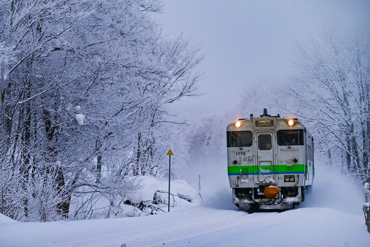 さようなら、北のヨンマル。
引退前一ヶ月の2/3日には多くのカメラマンがこの富良野の地へと足を運び、それぞれが「お別れ」をしていました。
国鉄時代から過酷な気候で走り抜けた北海道キハ40
も最終章へ
＃去りゆく北のヨンマルへ
#北海道色に愛を込めて
＃いいねした鉄道ファン全員フォローする