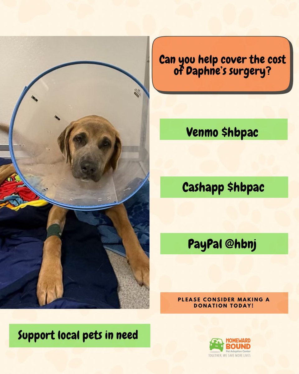 HomewardPetsNJ's tweet image. Can you help us cover the cost of Daphne’s orthopedic surgery?
form-renderer-app.donorperfect.io/give/homeward-…