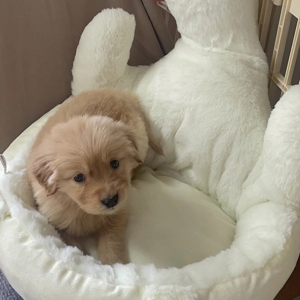 หุวใจยังว่าง ที่ข้างๆไม่มีใครนะค่าบ