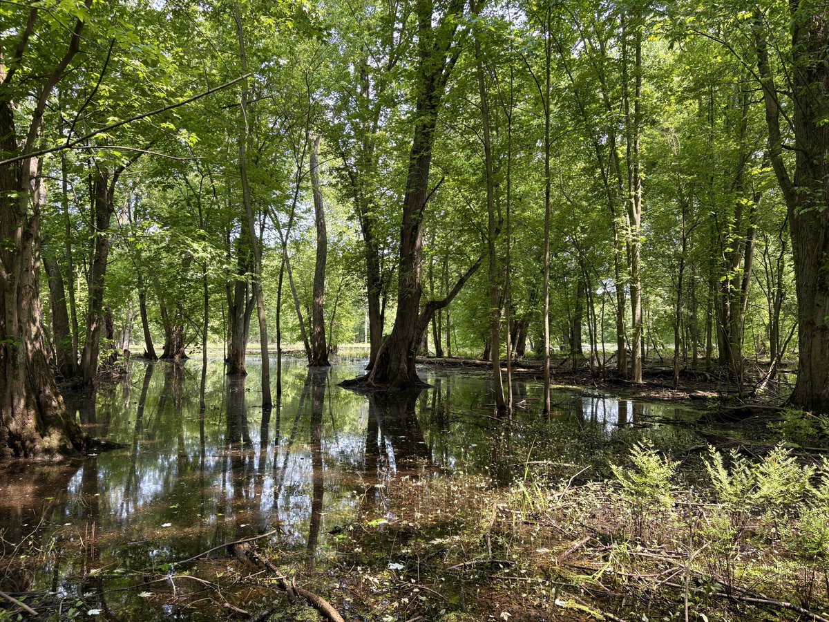 Dan Baldassarre tweet media