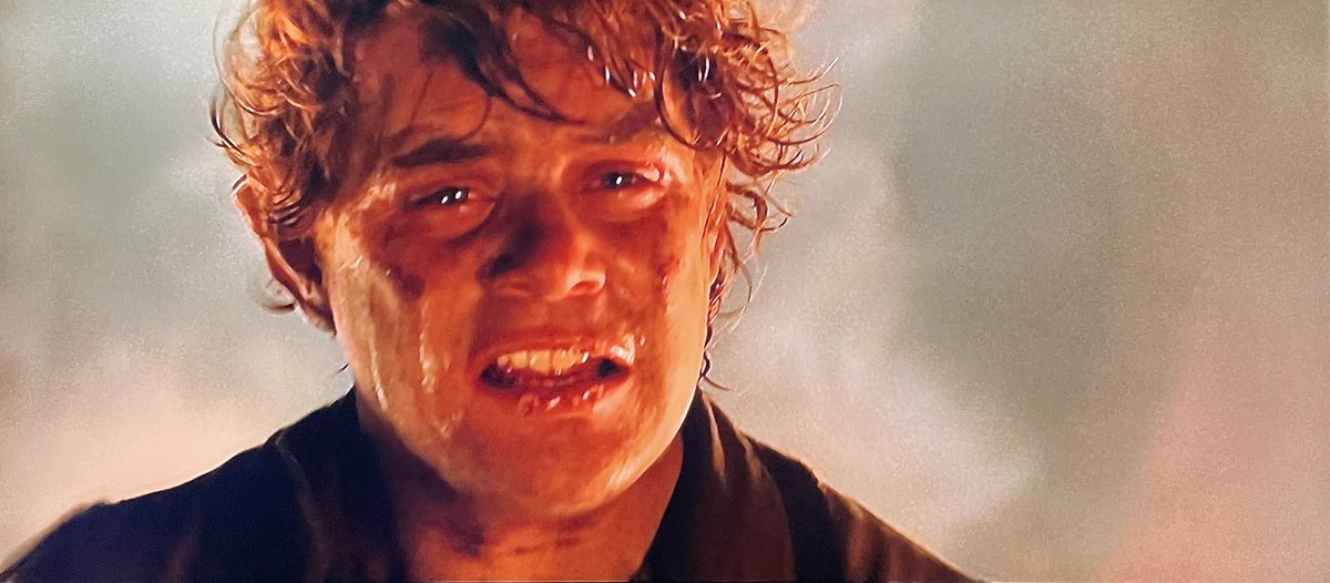 WillPheesh's tweet photo. Let it go.
#LotR #RotK https://t.co/anD7AAlASk