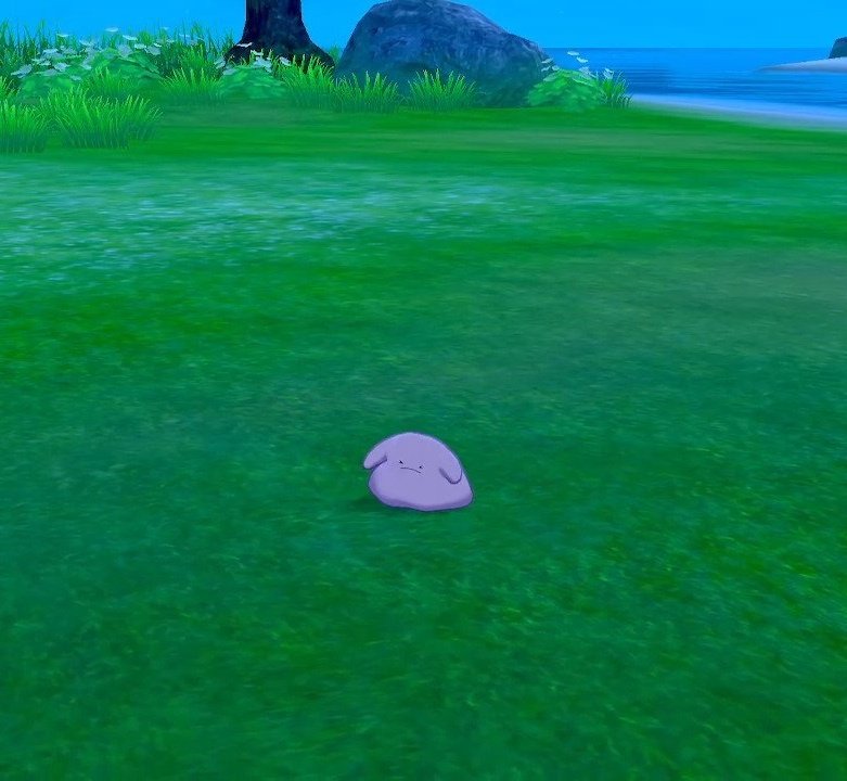 힝구 메타몽..너무 귀엽잖아