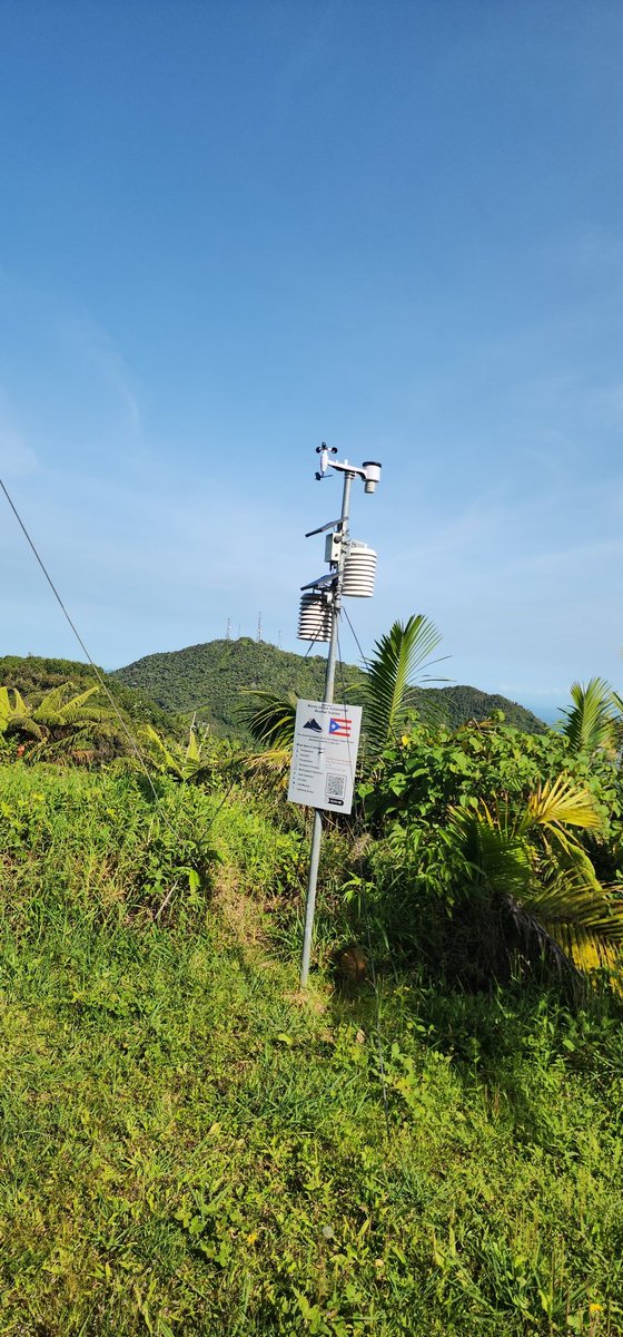 JoshuaOOrtiz1's tweet photo. Buenos días desde el bosque de Toro Negro, finalmente hemos instalado los rótulos de las estaciones meteorológicas que este servidor instaló en el area de Cerro Maravilla y Monte Jayuya, a continuación les dejo un video ilustrativo. 

@CycloforumsPR 
@adamonzon 
@DeborahTiempo 
@SLopezTiempo 
@NWSSanJuan