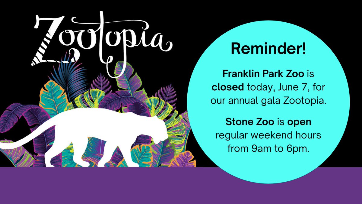 A note to our guests: Franklin Park Zoo will be closed to the public tomorrow, June 7, as we prepare for our gala event — Zootopia.  

Stone Zoo is open regular weekend hours from 9am to 6pm.