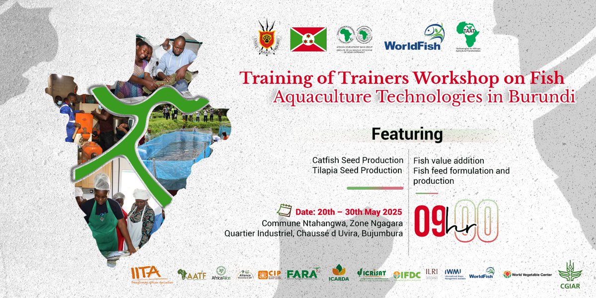 Taat_Africa's tweet photo. #TAATCompacts deliver vital #TechnicalAssistance! Their Training of Trainers (ToT) workshops empower NARES & private sector, professionalizing seed systems, standardizing best practices & fostering regional exchange. 
🎯 May saw 7 ToTs led by #TAATSorghumMillet, #TAATCassava, #TAATFish, #TAATRice, #TAATSoybean & #TAATVegetable Compacts in #Africa.

@AfDB_Group @gatesfoundation @GatesAfrica
@cgiar @AfricaRice @ICRISAT @WorldFish @WorldVegCenter @WFP_Africa 

#AgriculturalTransformation #AfricaAgriculture #SeedSystems #Innovations #ResilientSeedSystems #ScalingImpact #Partnership #EngageTAAT #FeedAfrica