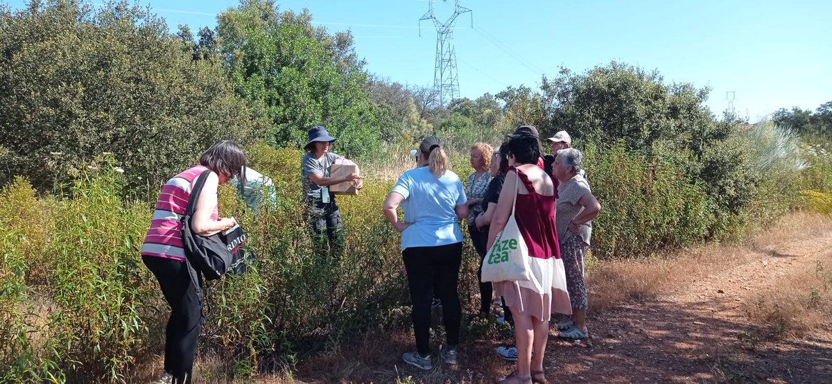 ¡Mañana enriquecedora en el <a href="/PN_Cornalvo/">Parque Natural de Cornalvo</a>!
¡Celebrando el #DiaMundialDelMedioAmbiente con mujeres increíbles! Hablando de plantas, curiosidades y conservación.
¡La naturaleza nos une!😊
#AsociaciónMujeresSantísimaTrinidadTrujillanos