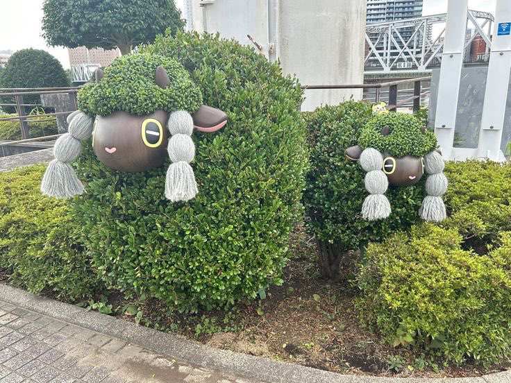 Pokemon Gems (@pokemongems) on Twitter photo 