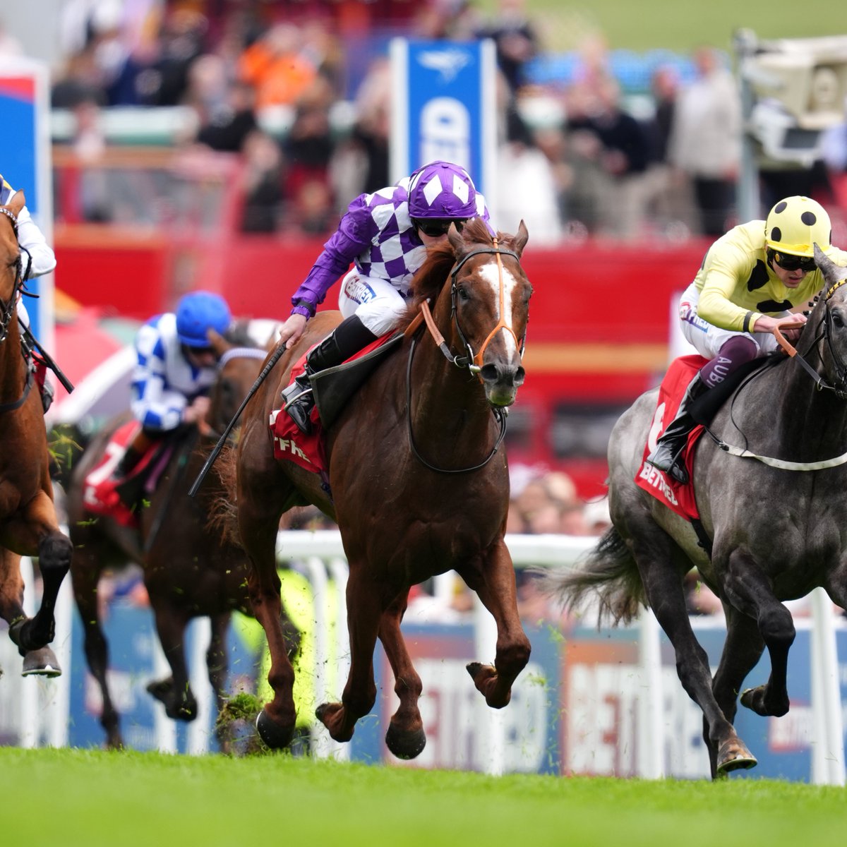 At The Races (@attheraces) on Twitter photo Persica wins on Derby day for the second year in a row!
The likeable colt comes from last to first to win the Group Three Diomed Stakes! 🤩
<a href="/rhannonracing/">Richard Hannon</a> | <a href="/EpsomRacecourse/">Epsom Downs Racecourse</a> Persica wins on Derby day for the second year in a row!
The likeable colt comes from last to first to win the Group Three Diomed Stakes! 🤩
<a href="/rhannonracing/">Richard Hannon</a> | <a href="/EpsomRacecourse/">Epsom Downs Racecourse</a>