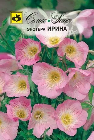 Впервые кстати слышу