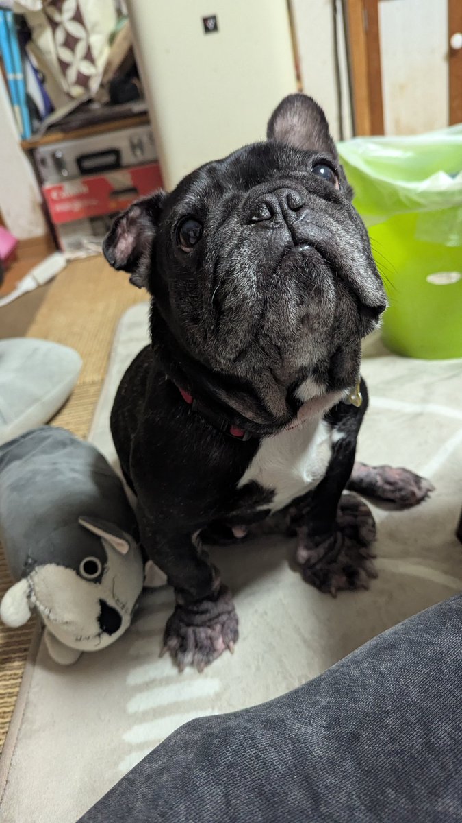 死んじゃったみたい
潰瘍みたいなのが出来て肺や肝臓にも転移してたらしい
親父大丈夫かなぁ
電話した感じ少し元気なかった
最期は親父と同じ空間に居れたみたいで良かった
R.I.P