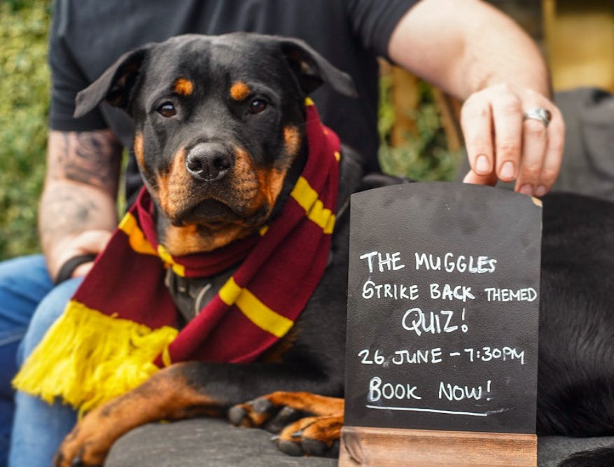 “IT’S LEVIOSA, NOT LEVIOSARR!”🪄

Dust off your cloaks, and swing by Diagon Alley, our charity quiz is back. Best of all, our themed quiz is in support of Dogs for Good- an amazing charity that trains assistant dogs to support people with disabilities. 🐶
