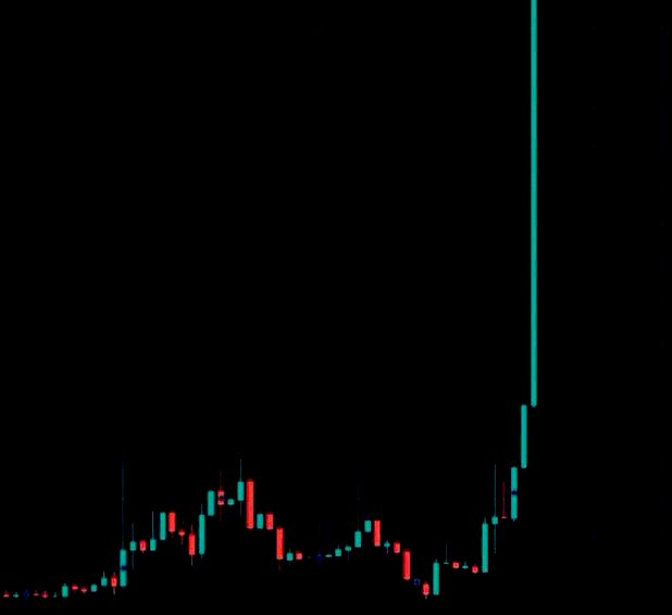 Real World Asset Watchlist tweet media