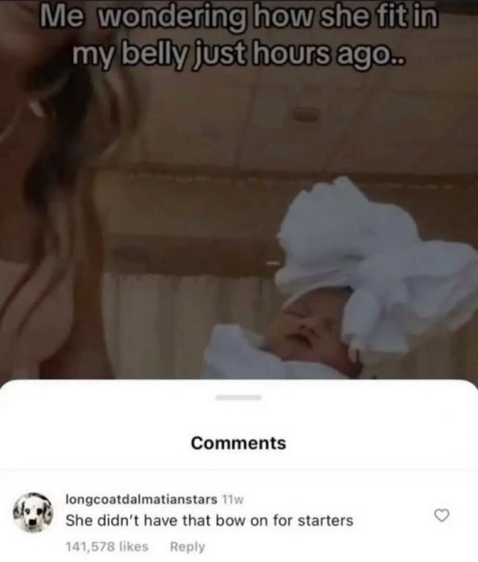 chaotic memes tweet media