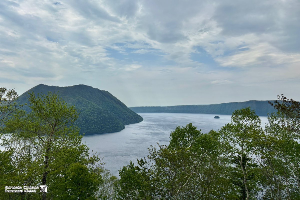 今日の摩周湖さん🧸✨