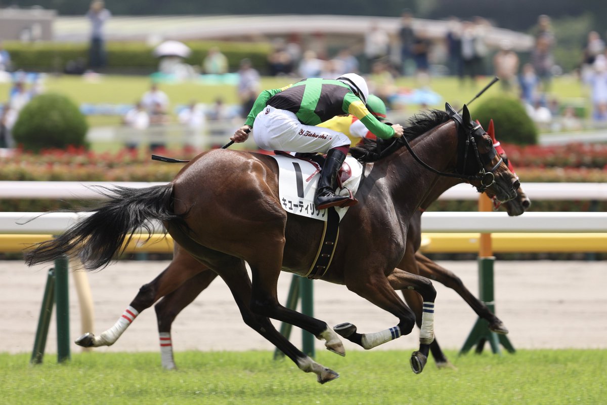 あと少しで勝てるっていうのが数週間続いて悔しい気持ちでいっぱいだったからこそ今日の勝利は本当に本当に嬉しかったです

改めて700勝達成おめでとう✨️